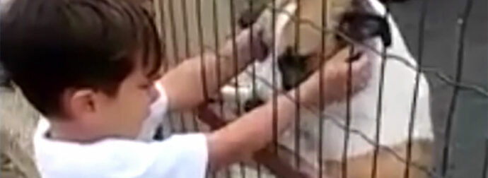 Αγοράκι συγκινείται με σκυλάκι που έχει χάσει το πόδι του και δεν μπορεί να σταματήσει να κλαίει