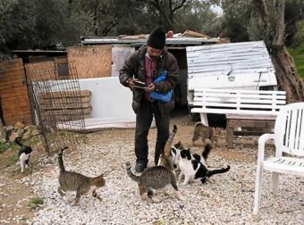 Μετανάστης που ζει κοντά στα ερείπια της Μόρια έκανε το σπίτι του καταφύγιο για αδέσποτες γάτες