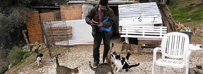 Μετανάστης που ζει κοντά στα ερείπια της Μόρια έκανε το σπίτι του καταφύγιο για αδέσποτες γάτες