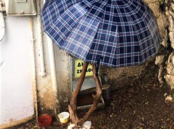 Σκιάθος: Έβαλαν ομπρέλα για να μη βρέχεται η ταΐστρα των αδέσποτων