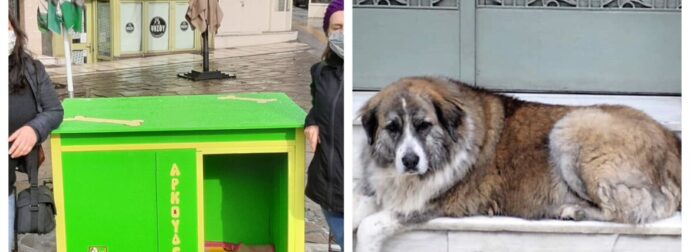 Το δικό του σπίτι απέκτησε ο ηλικιωμένος αδέσποτος σκυλάκος Αρκουδέλης που ζει στο Λευκό Πύργο στη Θεσσαλονίκη