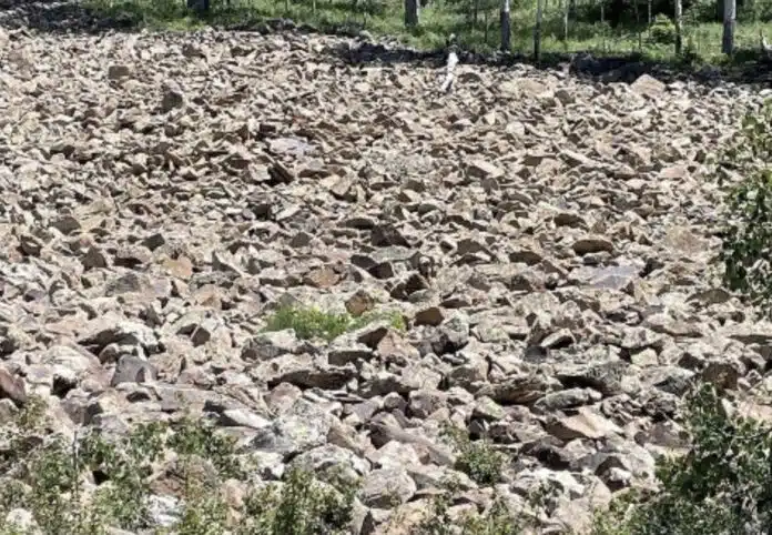 Μόνο όσοι έχουν μάτι ελεύθερου σκοπευτή μπορούν να βρουν την γυναίκα στην φωτογραφία