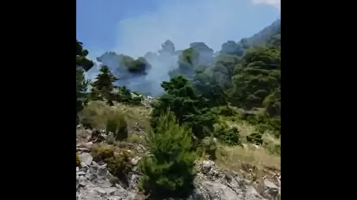 Φωτιά στα Βίλια – Σηκώθηκαν αεροπλάνα και ελικόπτερα, διακοπές στην κυκλοφορία