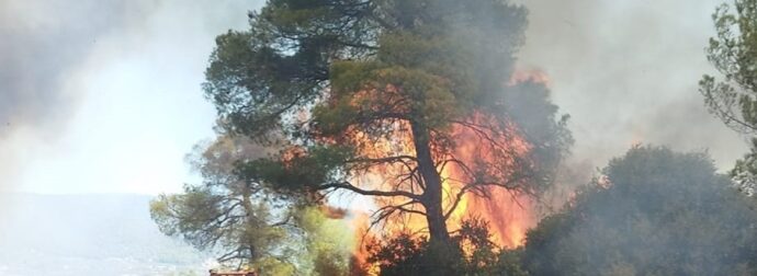 ΕΚΤΑΚΤΟ – Συναγερμός – Μεγάλη φωτιά ΤΩΡΑ – Σηκώθηκαν αεροσκάφη και ελικόπτερα