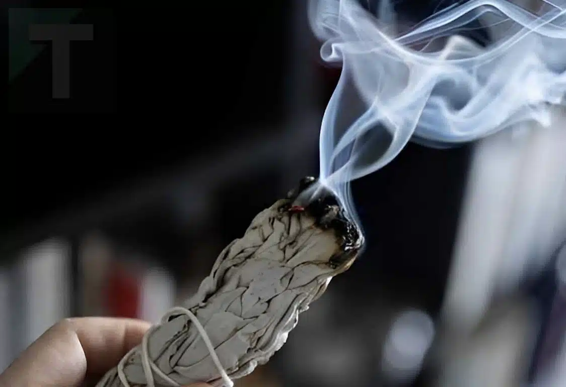 Κάψτε μια μερικά από αυτά τα φύλλα και εξαλείψτε την κακή ενέργεια και το κακό μάτι