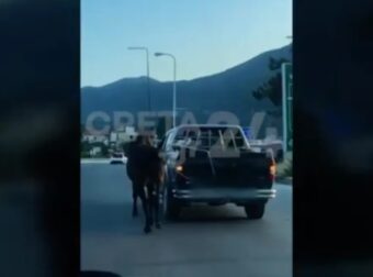 Hράκλειο: Οδηγός έδεσε άλογο με σχοινί και το έσερνε με αγροτικό – Το ζώο παραπατούσε και ήταν τρομαγμένο