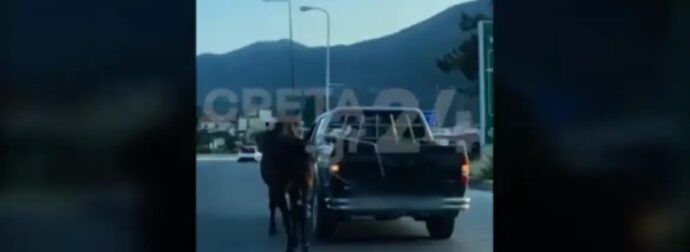 Hράκλειο: Οδηγός έδεσε άλογο με σχοινί και το έσερνε με αγροτικό – Το ζώο παραπατούσε και ήταν τρομαγμένο