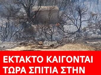 ΕΚΤΑΚΤΟ ΤΩΡΑ – ΑΠΕΓΚΛΩΒΙΣΜΟΙ ΠΑΙΔΙΩΝ ΚΑΙ ΚΑΤΟΙΚΩΝ