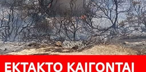 ΕΚΤΑΚΤΟ ΤΩΡΑ – ΑΠΕΓΚΛΩΒΙΣΜΟΙ ΠΑΙΔΙΩΝ ΚΑΙ ΚΑΤΟΙΚΩΝ