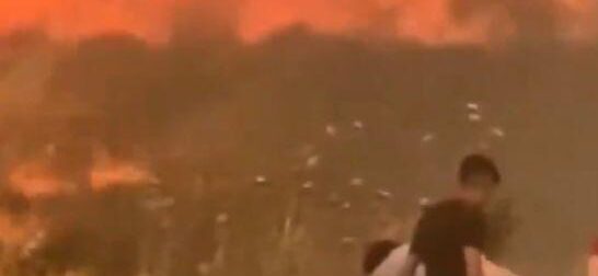 Συναγερμός στη Σμύρνη: Τεράστια πυρκαγιά καίει δάση και κατοικημένες περιοχές