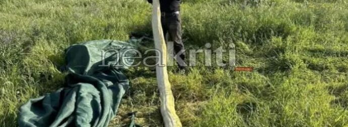 Σοκ στην Κρήτη: Πήγαν στο χωράφι και μέσα βρήκαν πύθωνα – Μόλις είδαν τι έχει φάει το φίδι…