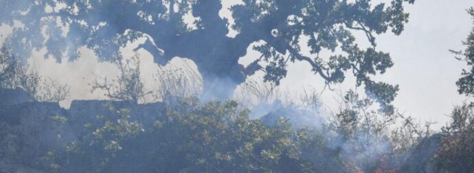 ΦΩΤΙΑ ΤΩΡΑ ΣΤΗΝ ΑΤΤΙΚΗ – ΣΗΚΩΘΗΚΑΝ ΕΝΑΕΡΙΑ ΜΕΣΑ