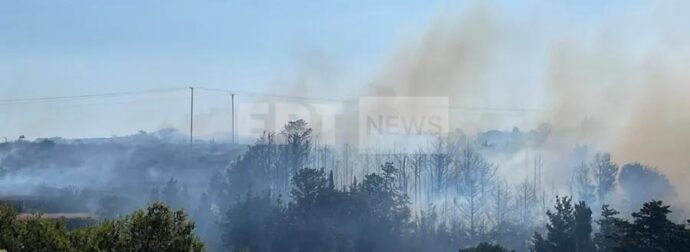 MΕΓΑΛΗ ΦΩΤΙΑ ΤΩΡΑ ΣΕ ΠΑΝΕΜΟΡΦΟ ΝΗΣΙ ΤΗΣ ΧΩΡΑ ΜΑΣ – ΚΑΙΓΕΤΑΙ ΠΑPΘΕΝΟ ΔΑΣΟΣ
