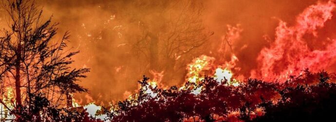 Πυρκαγιές στην Αχαΐα: Συνελήφθη 25χρονος για εμπρησμό