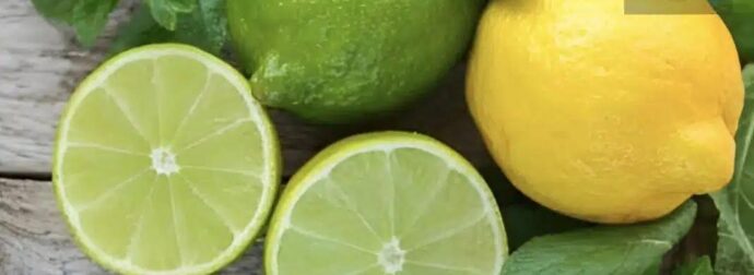 Πώς να διατηρήσετε τα λεμόνια φρέσκα για μεγάλο χρονικό διάστημα