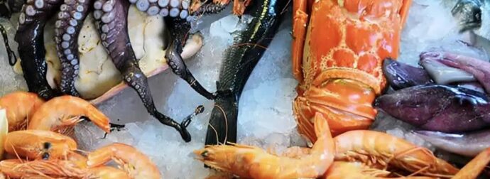 ΑΝΑΚΑΛΟΥΝΤΑΙ ΠΑΝΩ ΑΠΟ 4Ο ΤΟΝΟΙ ΠΑΣΙΓΝΩΣΤΩΝ ΘΑΛΑΣΣΙΝΩΝ ΜΟΛΥΣΜΕΝΑ ΜΕ ΡΑΔΙΕΝΕΡΓΕΙΑ – ΣΥΝΑΓΕΡΜΟΣ ΣΕ ΜΕΓΑΛΑ ΣΟΥΠΕΡΜΑΡΚΕΤ