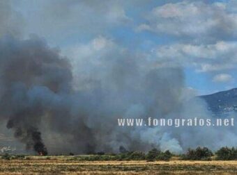 Φωτιά τώρα στη Λαμία – Σηκώθηκαν εναέρια μέσα