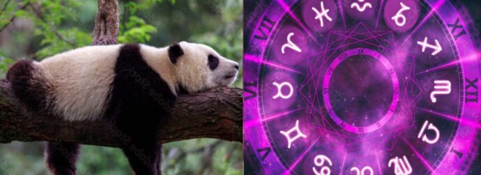 Αuτό είναι το πιο τεμπέλικο ζώδιο – Δεν ξεκολλάει από τον καναπέ, Βαριέται τα πάντα