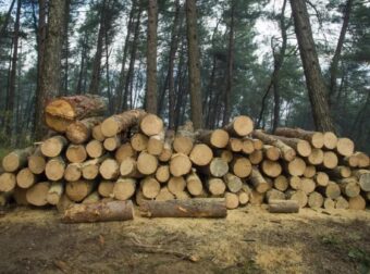 Τραγωδία στη Λάρισα