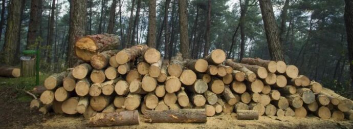 Τραγωδία στη Λάρισα