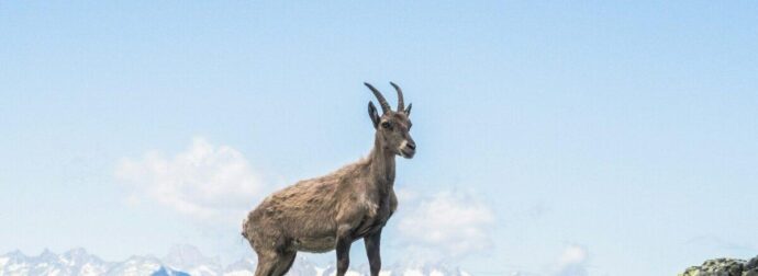 Συναγερμός μετά τη νέα έξαρση – «Lockdown» αν δεν τηρηθούν τα μέτρα