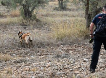 Τραγική κατάληξη στην Κάρπαθο: Νεκρός βρέθηκε ο τουρίστας που αγνοούνταν από τον Ιούνιο