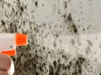 Πώς να αφαιρέσετε την υγρασία από τους τοίχους ώστε να μην επιστρέψει ποτέ