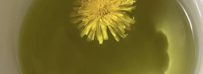 To ρόφημα που πίνουν τα μοντέλα για επίπεδη κοιλιά πριν την πασαρέλα – Με 2 υλικά, καθαρίζει το έντερο