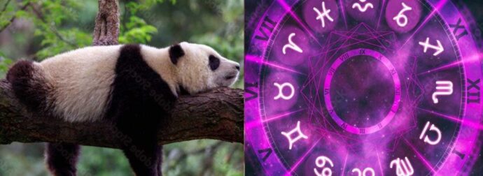 Αuτό είναι το πιο τεμπέλικο ζώδιο – Βαριέται τα πάντα