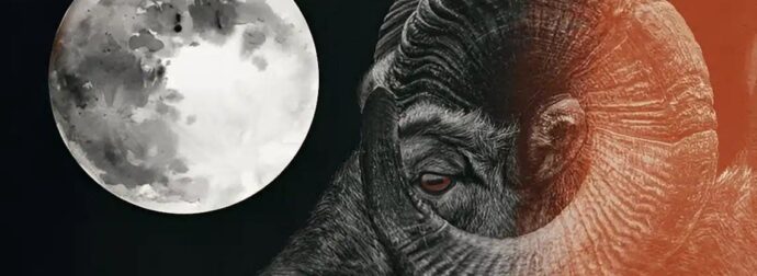 Έρχεται δυνατή Πανσέληνος στον Κριό στις 7 Οκτωβρίου – Τα δύο ζώδια που θα επηρεάσει θετικά