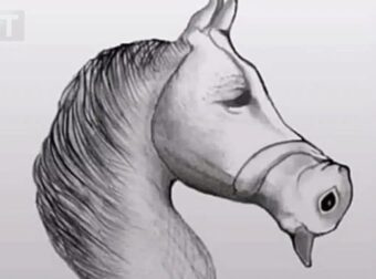 Μόνο άτομα με υψηλό IQ μπορούν να δουν το άλλο ζώο στην εικόνα