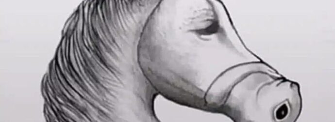 Μόνο άτομα με υψηλό IQ μπορούν να δουν το άλλο ζώο στην εικόνα