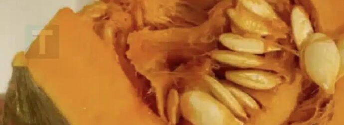 Οι γιατροί αποκαλύπτουν ότι η κατανάλωση κολοκύθας προκαλεί