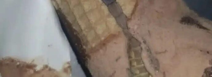Η κόρη μου άνοιξε ένα παγωτό χωνάκι και βρήκε κάτι παράξενο μέσα, μείναμε άφωνοι όταν συνειδητοποιήσαμε τι ήταν