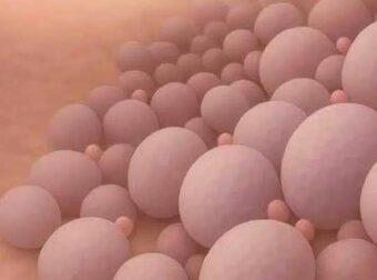 Να γιατί είναι σημαντικό να ουρείτε μετά το σeξ