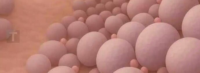 Να γιατί είναι σημαντικό να ουρείτε μετά το σeξ