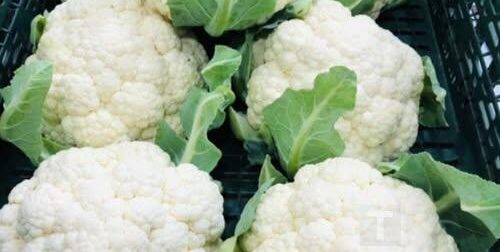 Οι γιατροί αποκαλύπτουν ότι η κατανάλωση λευκού κουνουπίδι προκαλεί..