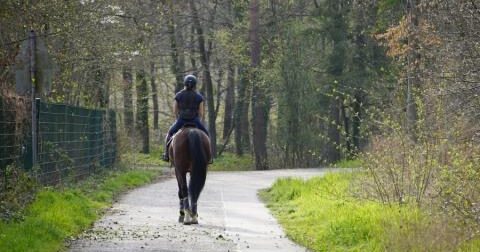 Έρχονται πρόστιμα για όσους τρέχουν με… άλογο, τινάζουν χαλιά ή ο σκύλος τους γαυγίζει υπερβολικά-Δείτε τη λίστα με τα εξώδικα