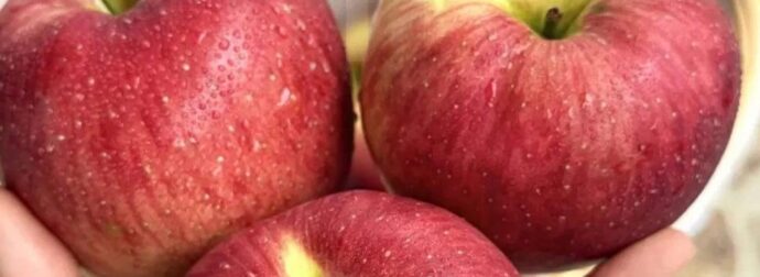 Οι γιατροί αποκαλύπτουν ότι η κατανάλωση μήλων προκαλεί…