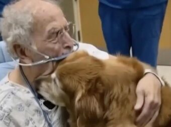 Δεν πιστεύαμε ότι θα τα κατάφερνε να περάσει τη νύχτα: Συνέχιζε να ρωτάει για τον «Μάρκο…»