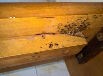 ΣΟΚ ΠΡΟΣΟΧΗ: Αν δείτε αυτά τα σημάδια στο δέρμα σας, σημαίνει…