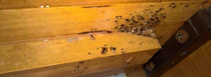 ΣΟΚ ΠΡΟΣΟΧΗ: Αν δείτε αυτά τα σημάδια στο δέρμα σας, σημαίνει…