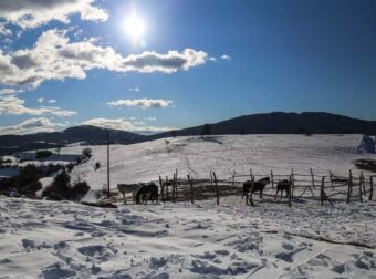Χιόνισε σε πανέμορφη ελληνική περιοχή – H πρώτη αξιόλογη χιονόπτωση