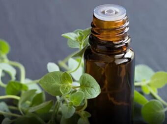 Το πιο Iσxupo βότανο που Kαταστpέφει παpάσιτα, λοιμώξεις του ουροποιητικού συστήματος και της ουροδόχου κύστης, έρπητα, ιούς γρίπης, πόvouς στις αρθρώσεις, αρθρίτιδα, ισχιαλγία, κάντιντα