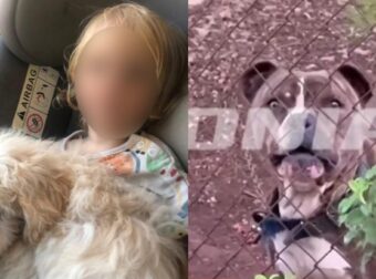 «Δεν είχε πάει ποτέ το παιδί εκεί πέρα, ποτέ»: Ραγίζει καρδιές ο πατέρας του μικρού αγοριού που τον κατασπάραξε πίτμπουλ στη Ζάκυνθο