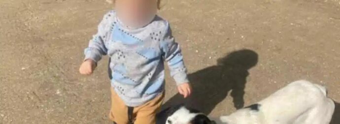 Αυτός είναι το ξανθό αγγελούδι που κατασπάραξε το πίτμπουλ χτες στην Ζάκυνθο – Μαθεύτηκε όλη η αλήθεια