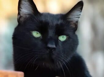 Τα 3 άτυχα ζώδια του 2026 – Θα δοκιμαστούν περισσότερο από όλους