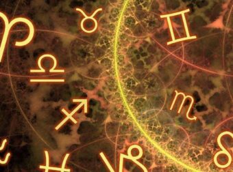 Μοιάζουν φτιαγμένοι από πέτρα – Αυτά είναι τα 4 πιο άκαρδα ζώδια