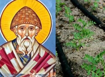 Άγιος Σπυρίδωνας: Γιατί φυτεύουμε φακές στη γιορτή του