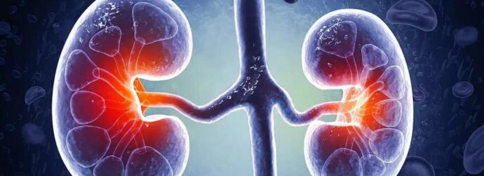 Η διατροφή που «σώζει» τα νεφρά – Τι να κόψετε αμέσως και τι να τρώτε κάθε μέρα